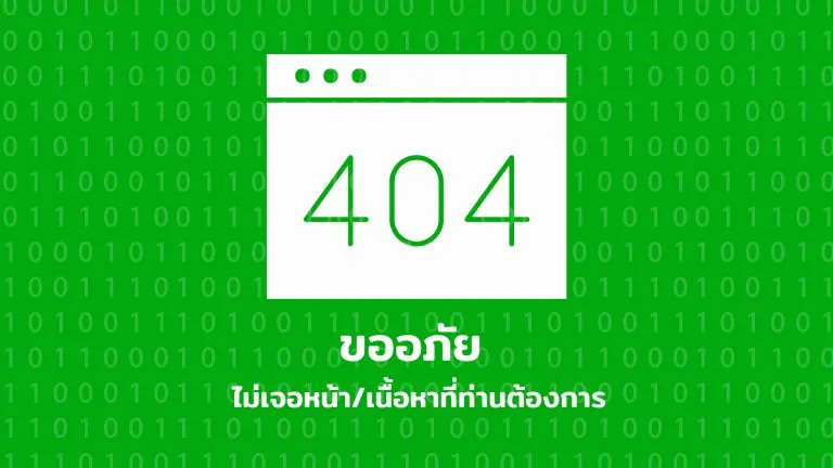 404 Not Found Page